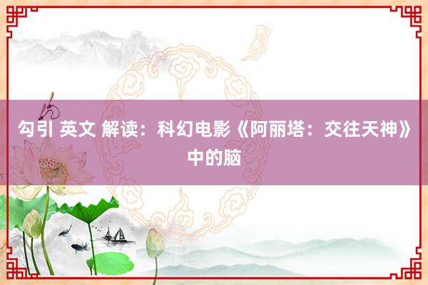 勾引 英文 解读：科幻电影《阿丽塔：交往天神》中的脑